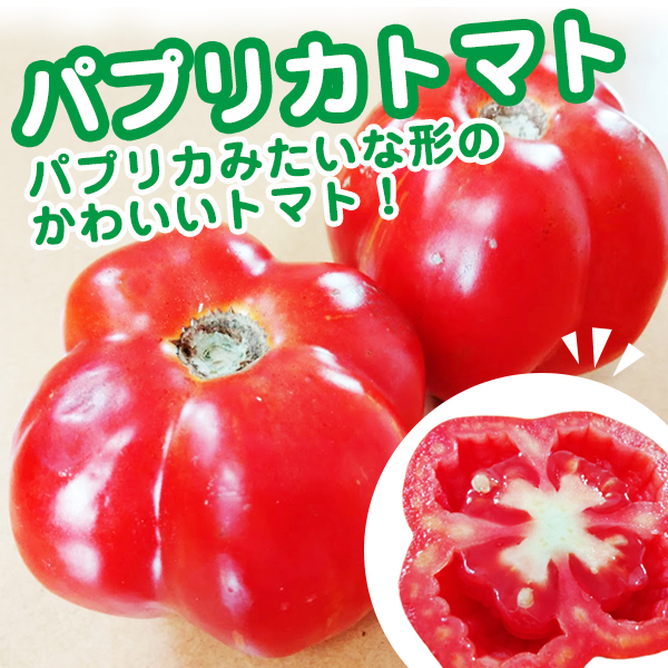 [ unusual ~!] paprika tomato. kind 10 bead ~ solid ...?~