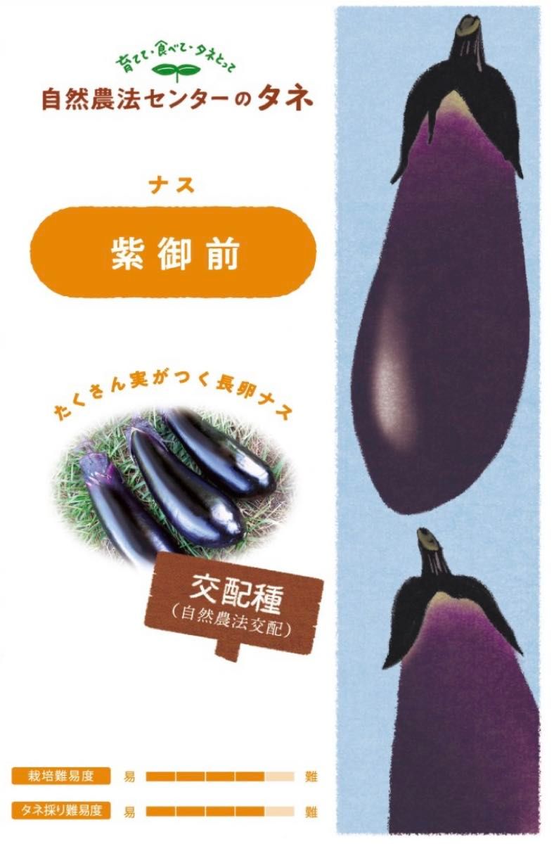 【国内育成・採取】 紫御前 家庭菜園 種 タネ 茄子 ナス 野菜