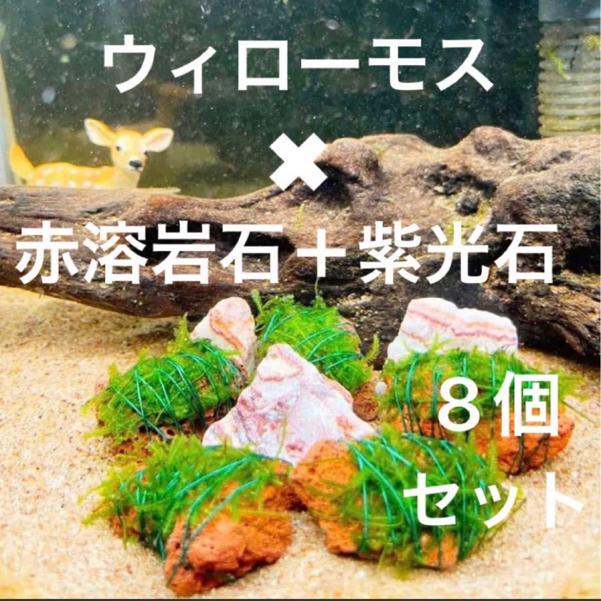 【相性抜群の組み合わせ】ウィローモス×赤溶岩石（3cm）＋紫光石 計8個