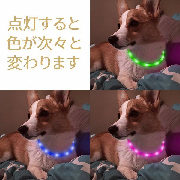 「b6m-a2」 犬用 光る首輪 充電式 散歩 犬 ライト LED アウトレット 小型犬 中型犬 大型犬 レインボー_画像2