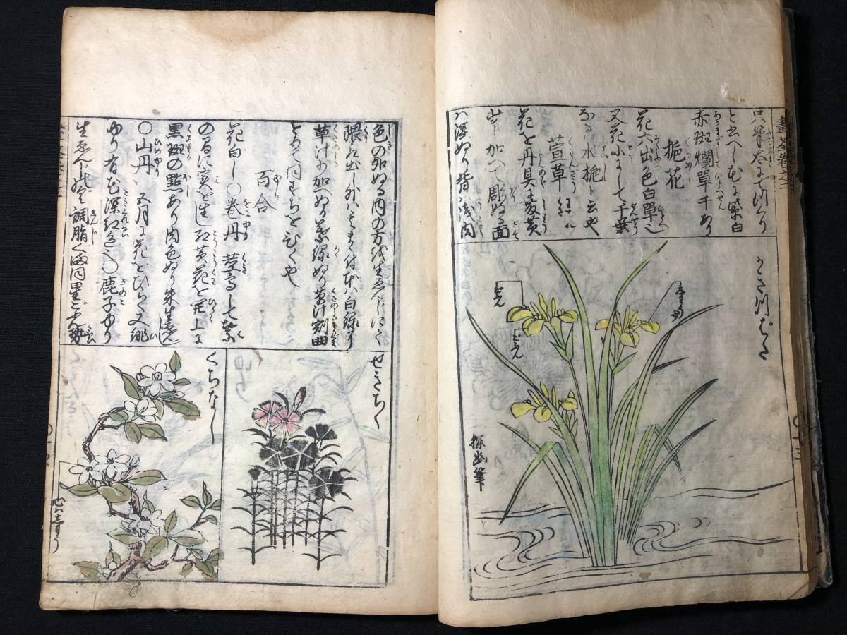 2676絵入 絵本 □画筌□ 山水草木 草花 守信/画 江戸中期時代物 2676絵入 絵本 □画筌□ 山水草木 草花 守信/画 江戸中期時代物