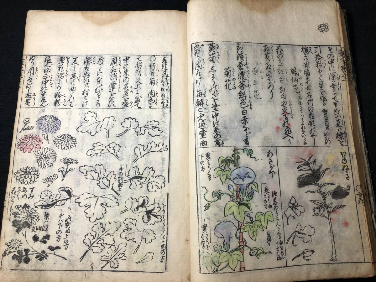 2676絵入 絵本 □画筌□ 山水草木 草花 守信/画 江戸中期時代物 2676絵入 絵本 □画筌□ 山水草木 草花 守信/画 江戸中期時代物