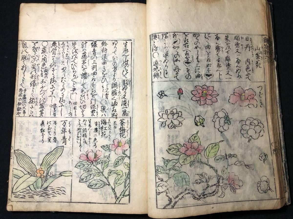 2676絵入 絵本 □画筌□ 山水草木 草花 守信/画 江戸中期時代物 2676絵入 絵本 □画筌□ 山水草木 草花 守信/画 江戸中期時代物