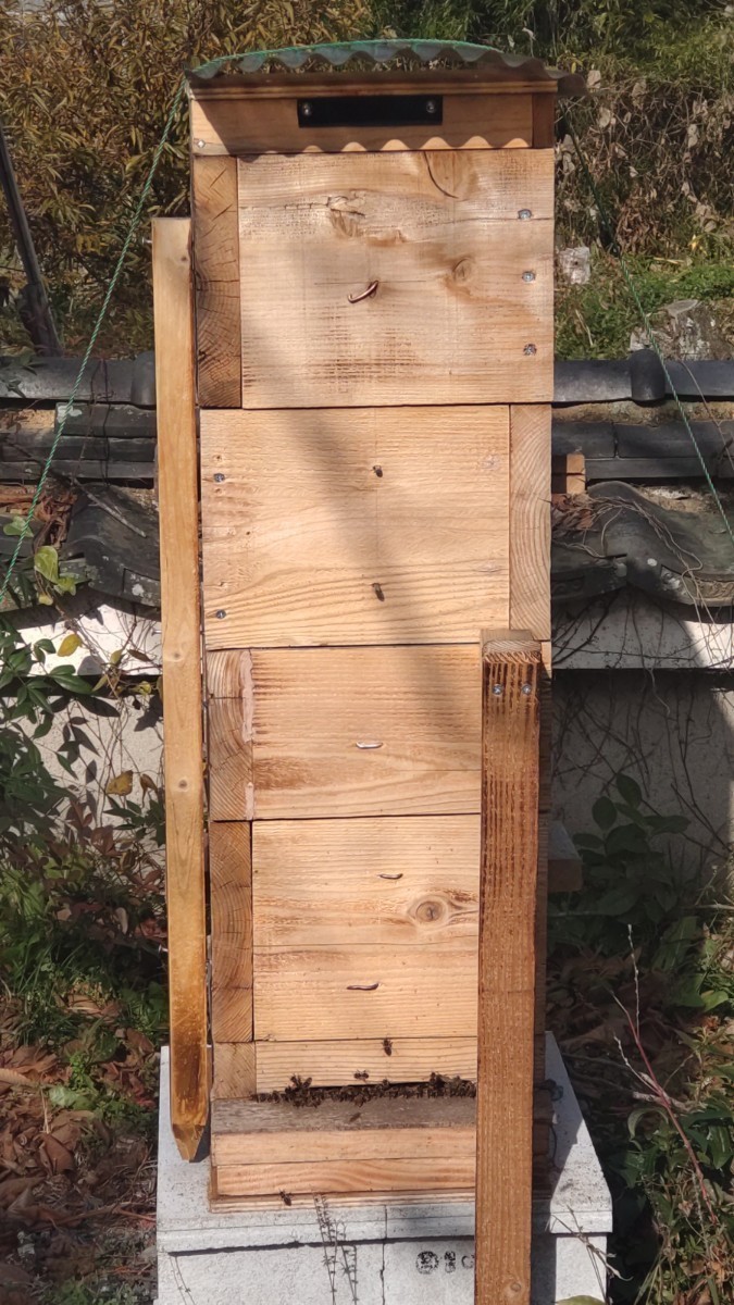 日本蜜蜂巣箱、自然入居実績あり待受巣箱_飼育例です商品ではありません