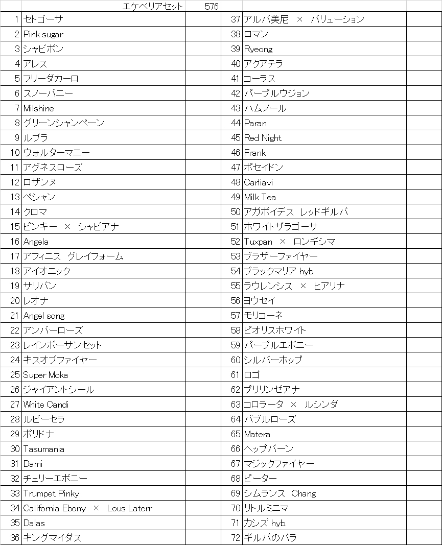 送料無料！エケベリア72種セット！【576】トレイのまま発送 ！【多肉植物】【観葉植物】【おてがる配送】_画像3