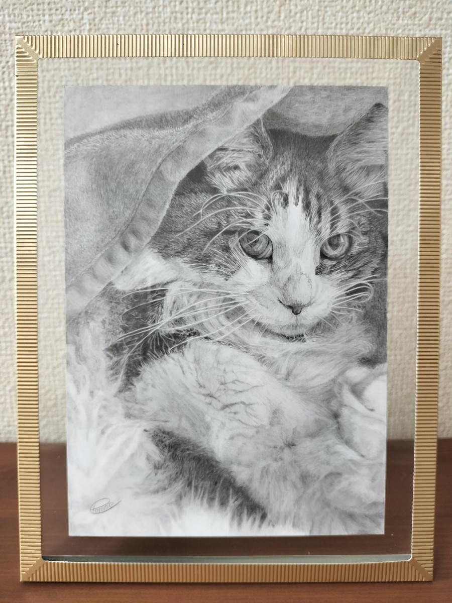 猫の絵画　鉛筆画原画　毛布をかぶる猫_画像1