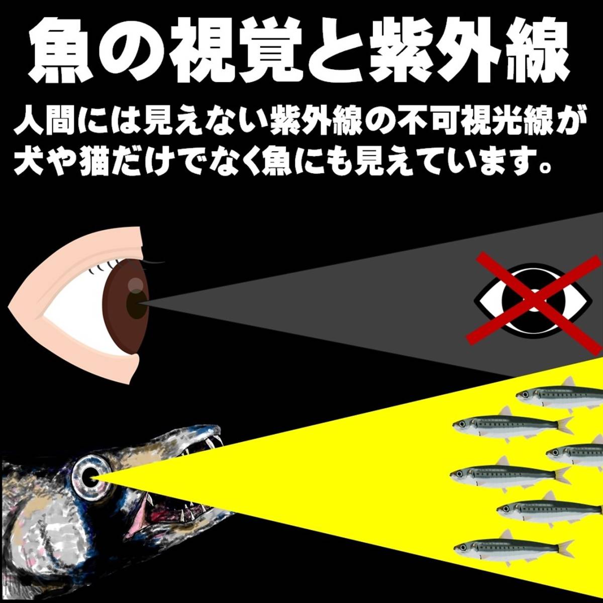 集魚剤 紫外線加工液 徳用濃縮粉末 ケイムラパープル濃縮パウダー 500ml 120回分 5g アルミケース入り 計量スプーン付き 釣り侍のデコ餌 _画像2