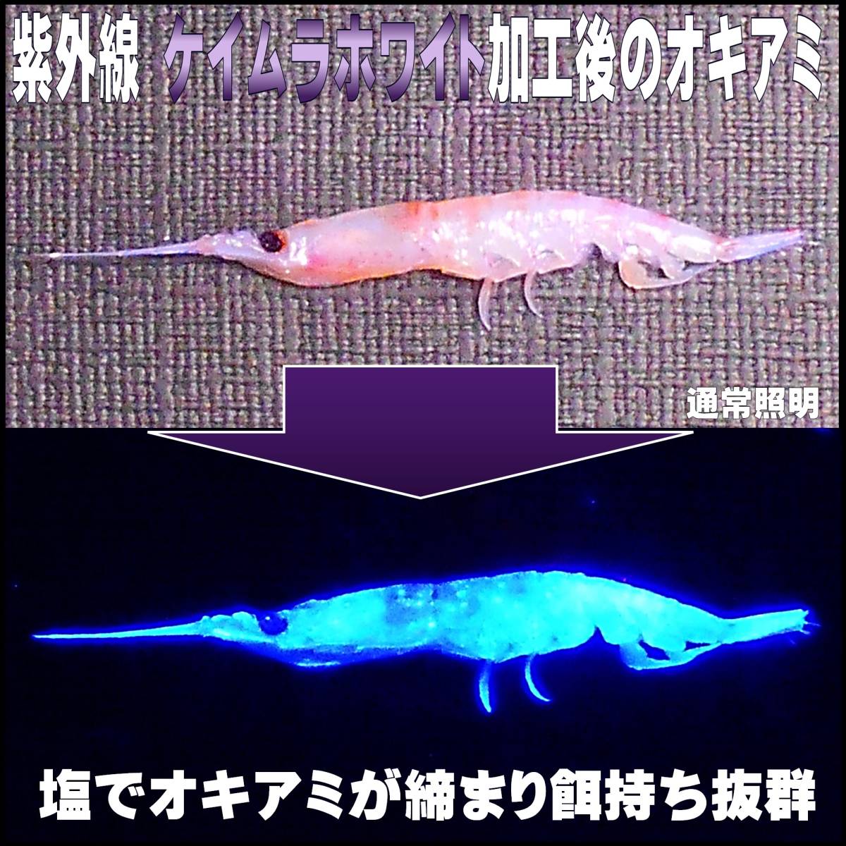 冷凍オキアミ 集魚剤 釣り餌 刺し餌用 アミノ酸 アラニン にんにく 水飴 餌締め塩 配合 紫外線加工液 ケイムラホワイト クリア 80ml ３個組_画像5