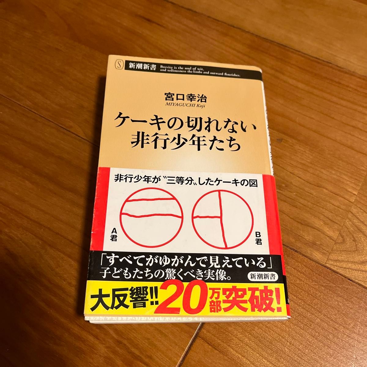 ケーキの切れない非行少年たち