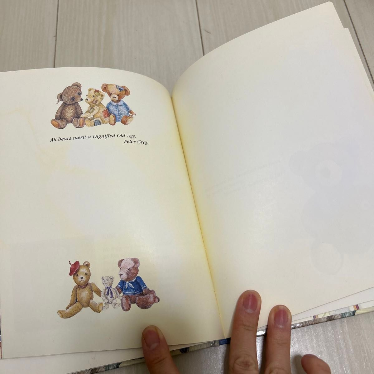 Teddy Bear note book 絵本 英語 洋書