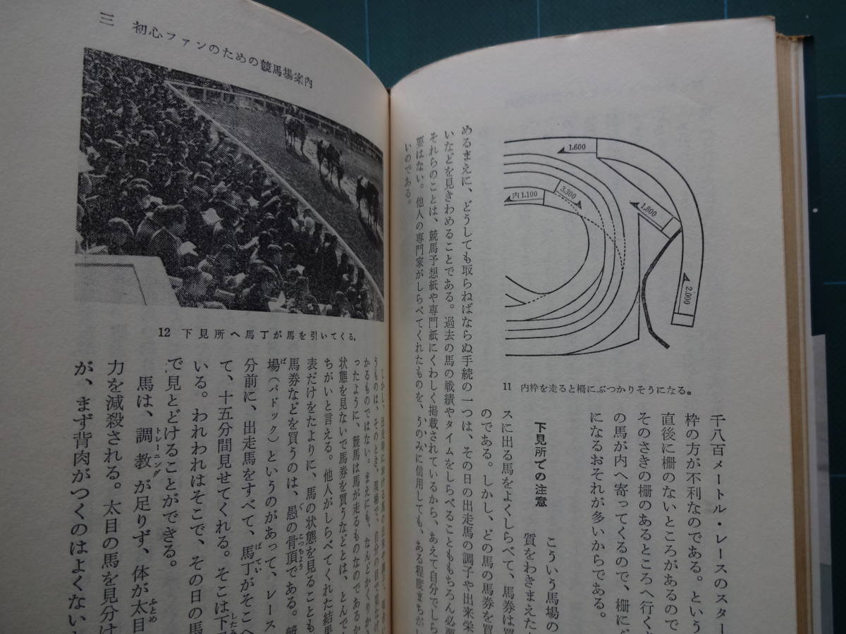 カッパブックス「競馬　演出か、八百長か、作戦か」武智鉄二_画像6