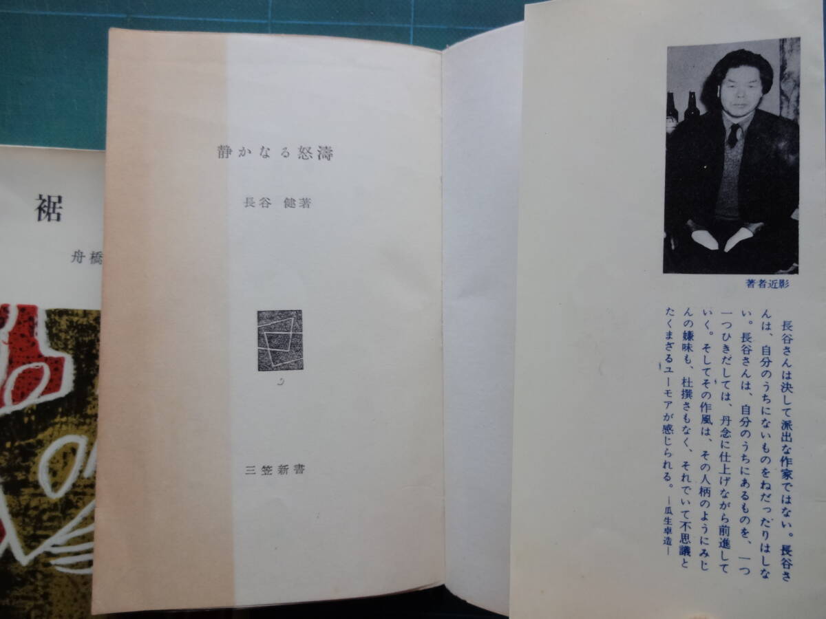 三笠新書　小説３冊「雨跡」丹羽文雄、「静かなる怒涛」長谷健、「裾野」舟橋聖一_画像5