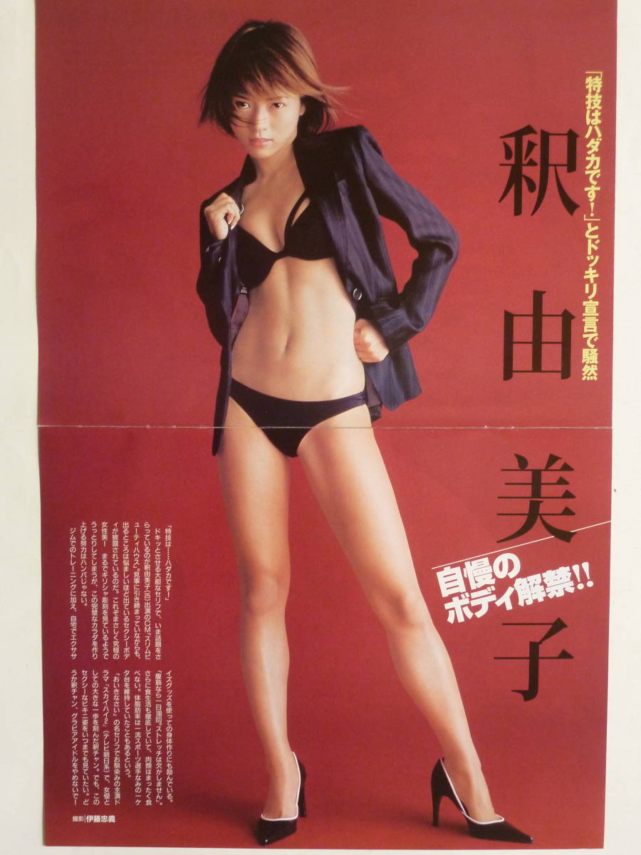 切り抜き　釈由美子　85ページ_画像8