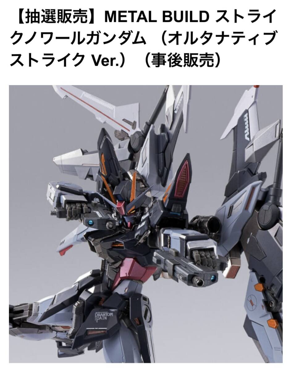 格安で提供】 【新品未開封】【抽選販売】METAL BUILD ストライク