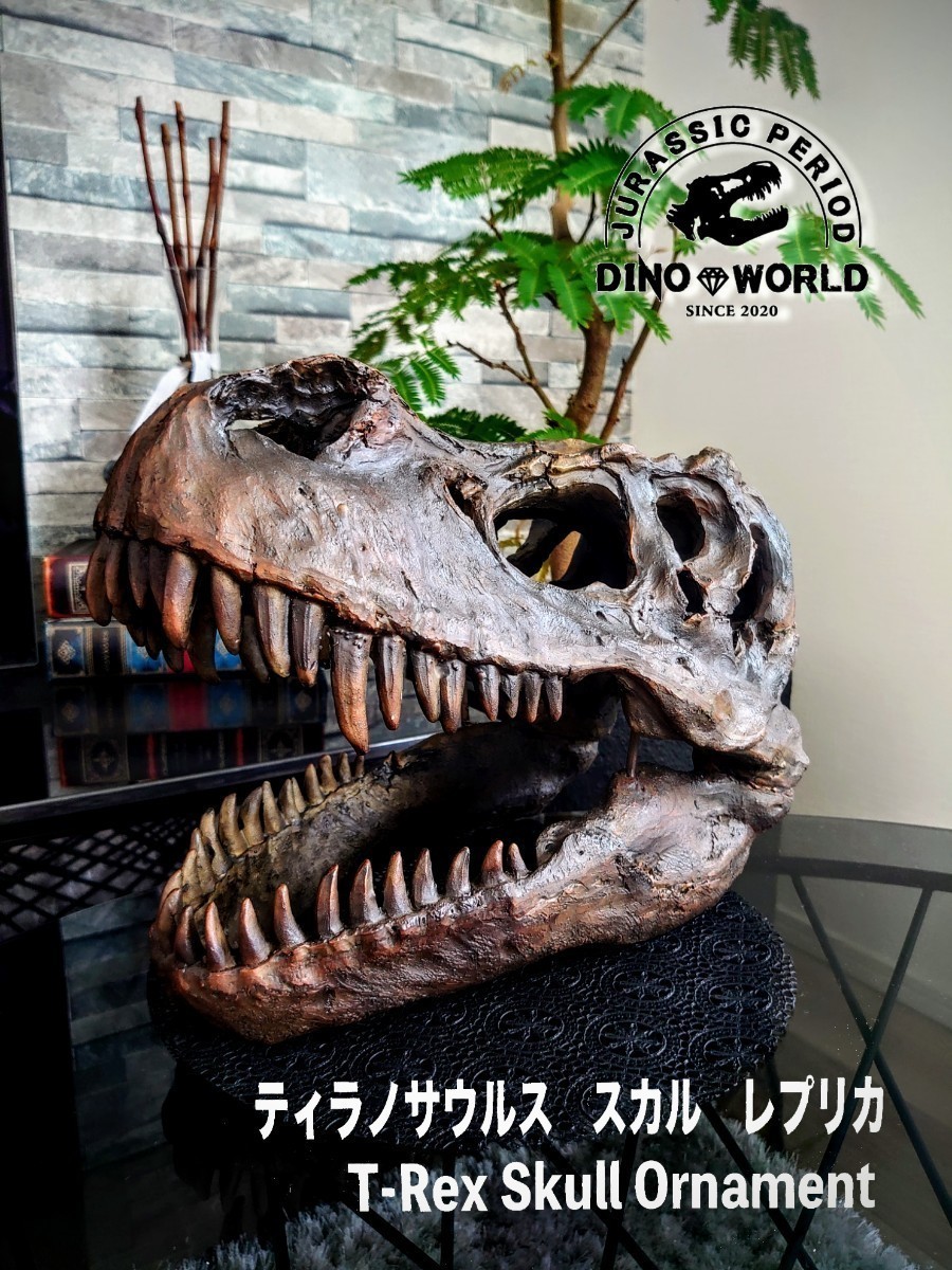 【DinoWorld ／ ディノワールド】ティラノサウルス T-REX 恐竜 頭骨 化石 ダイナソーヘッド レプリカ トリケラトプス