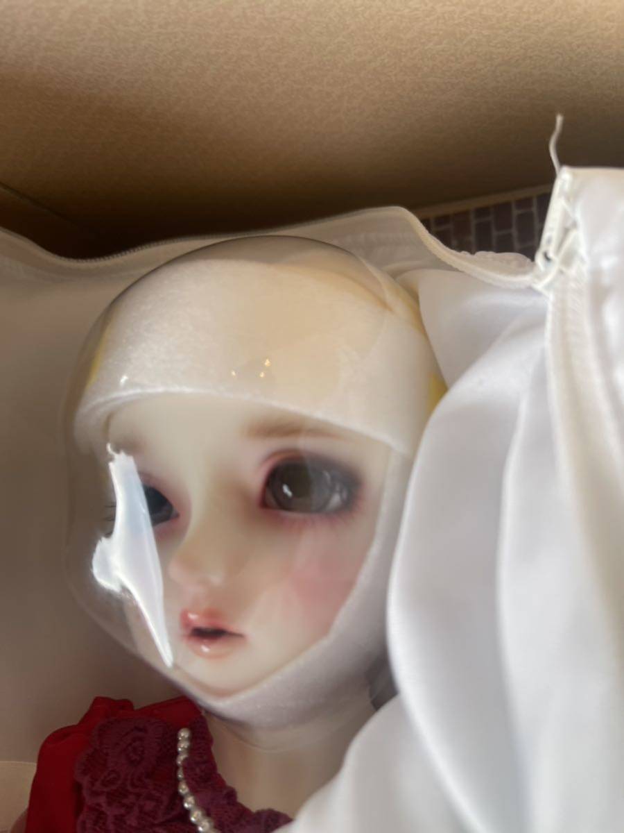 新品フルセット ボークス Volks ボークス スーパードルフィー 新品フルセット ボークス Volks ボークス スーパードルフィー