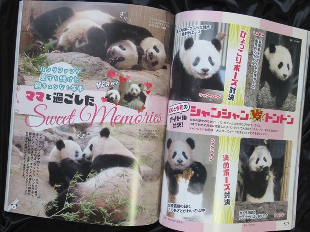 * Panda itself 5 head . car n car n itself *( Kobunsha woman books VOL.195) regular price \\1300* car n car n fully!