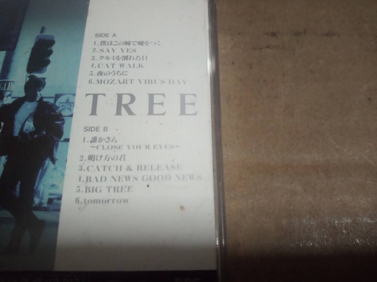 CHAGE & ASKA　TREE　カセットテープ_画像2