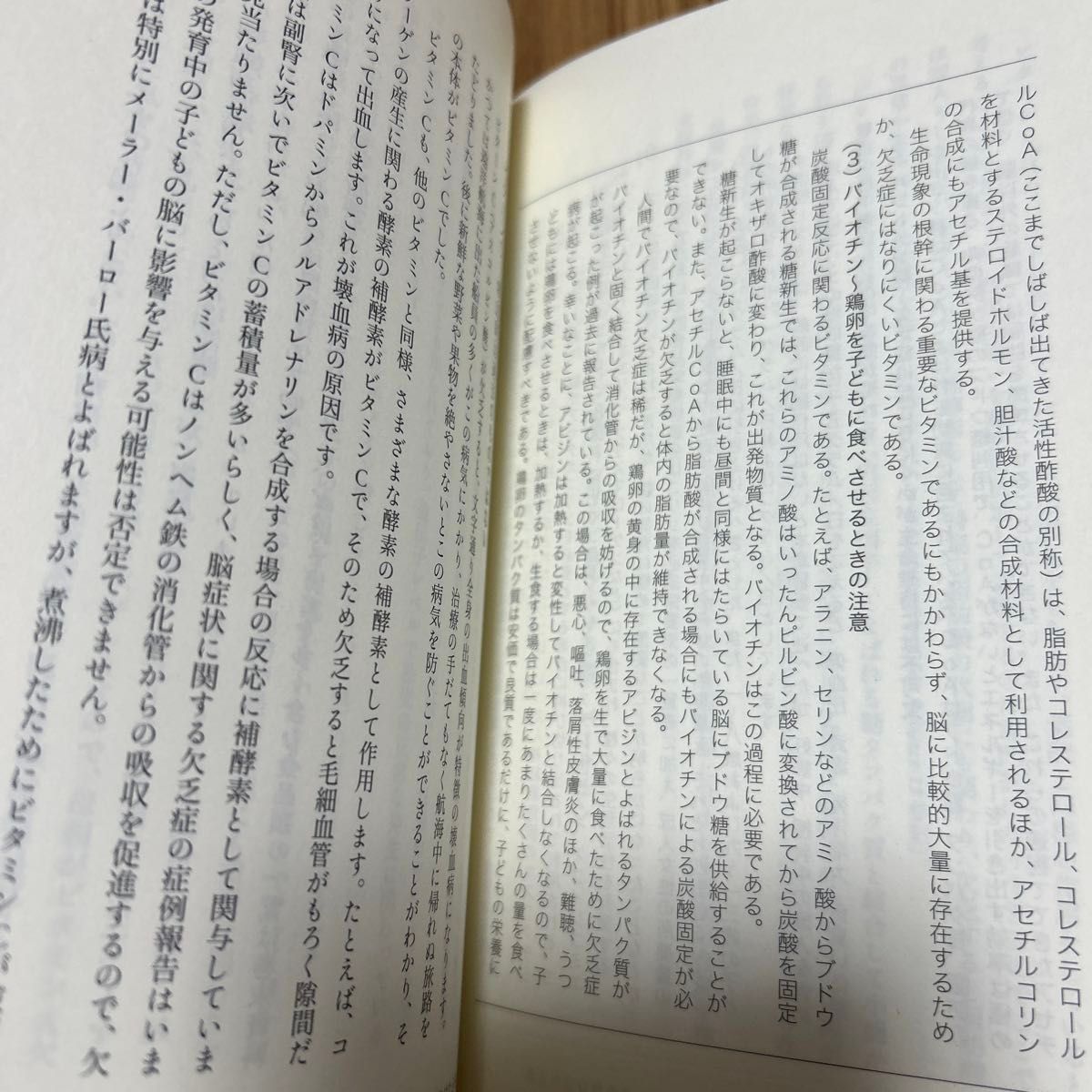 子どもの脳を育てる　栄養学　頭の良い子　脳の発達　子供　こども　中川八郎　500円