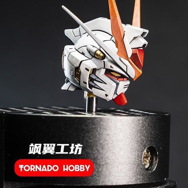 新品 1/100 ストライクフリーダムヘッド MG Master HOBBY Head 未塗装ガレージキット TORNADO MHM 3Dプリントアウトパーツ ks32_画像2