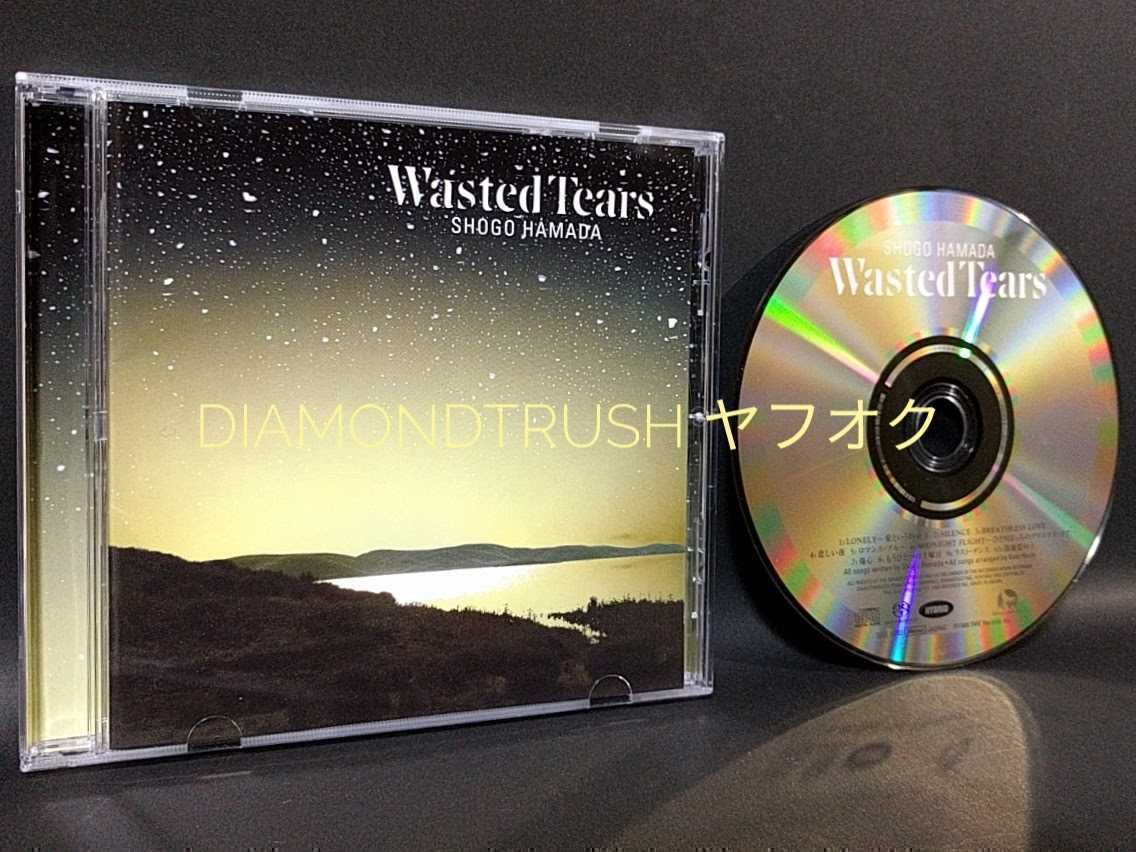 ☆音質良好☆ ◆浜田省吾 Wasted Tears◆ 高音質SACD盤 CDアルバム　♪LONELY/SILENCE/傷心/もうひとつの土曜日/ラスト・ダンス/防波堤の上_画像1