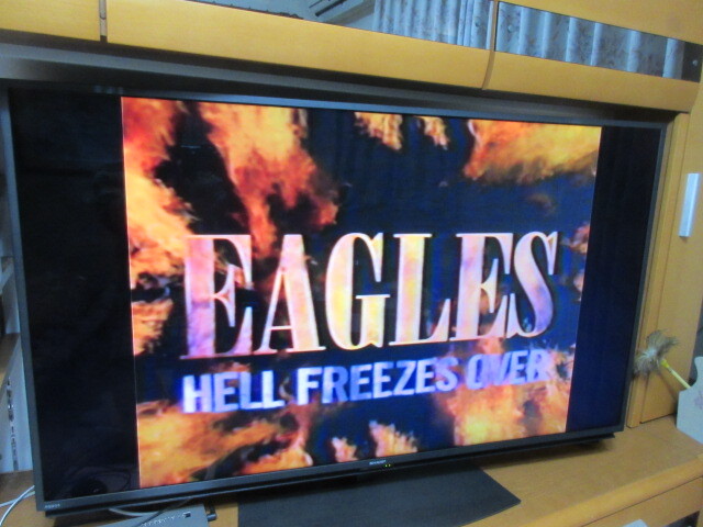 送料込★VHSビデオ★EAGLES HELL FREEZES OVER★イーグルス★中古品★匿名配送_画像7