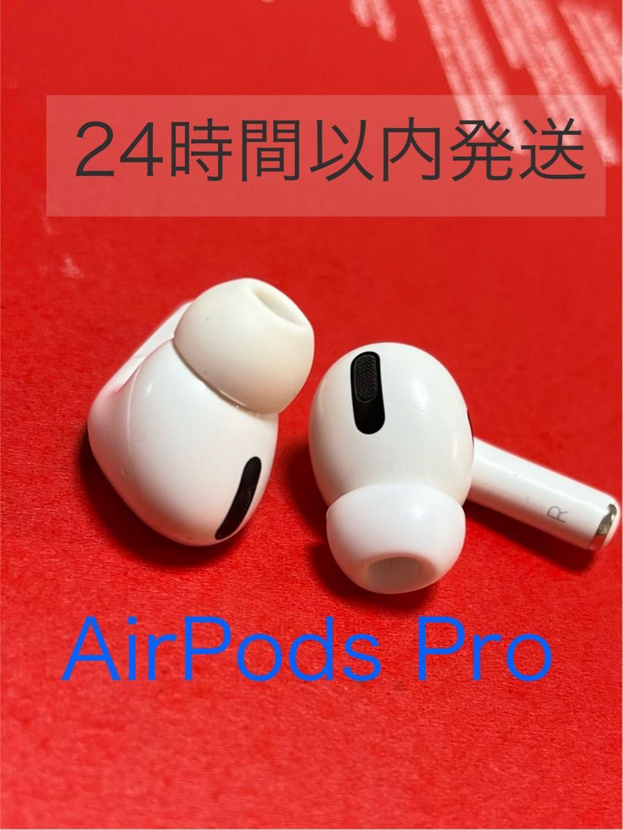 AirPods Pro 両耳 本体のみ 第1世代 - n3quimica.com.br