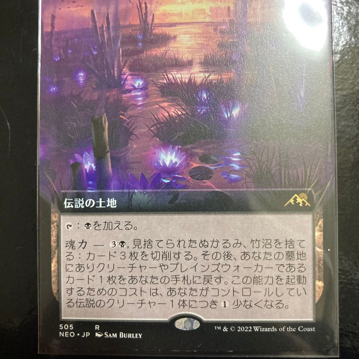 MTG 見捨てられたぬかるみ、竹沼　拡張アート