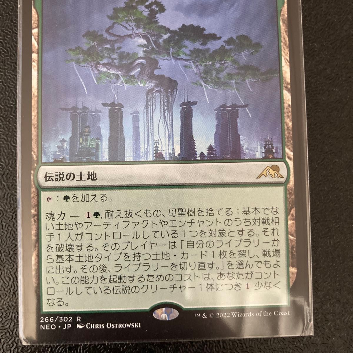 MTG 耐え抜くもの、 母聖樹