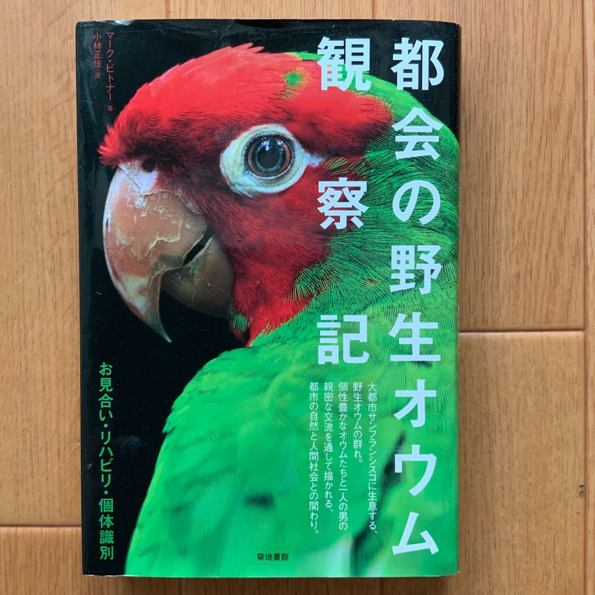 都会の野生オウム観察記　お見合い・リハビリ・個体識別_画像1