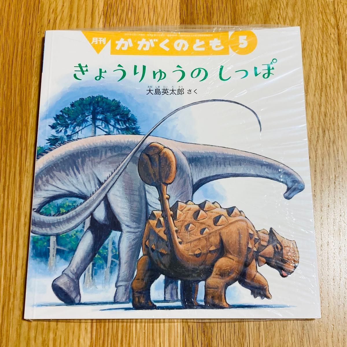 新品 未開封 絵本 かがくのとも 年中 年長 きょうりゅうのしっぽ 大島英太郎 こどものとも