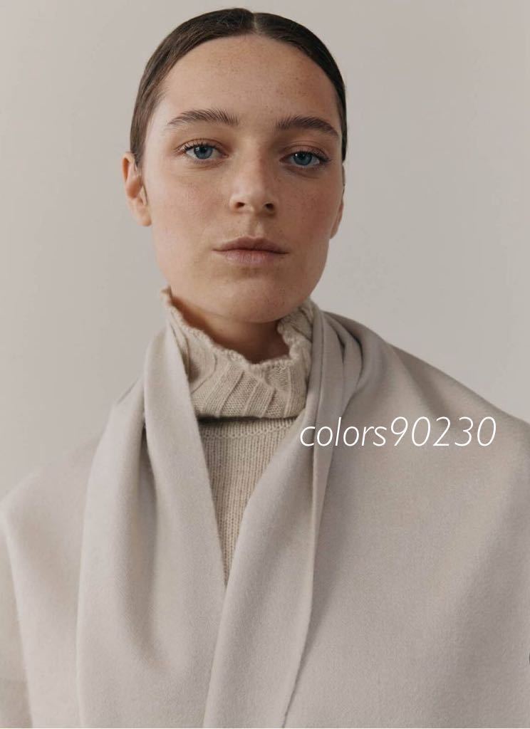 人気色 極美品 BEGG&CO ベグアンドコー カシミヤ ストール 人気色 極美品 BEGG&CO ベグアンドコー カシミヤ ストール