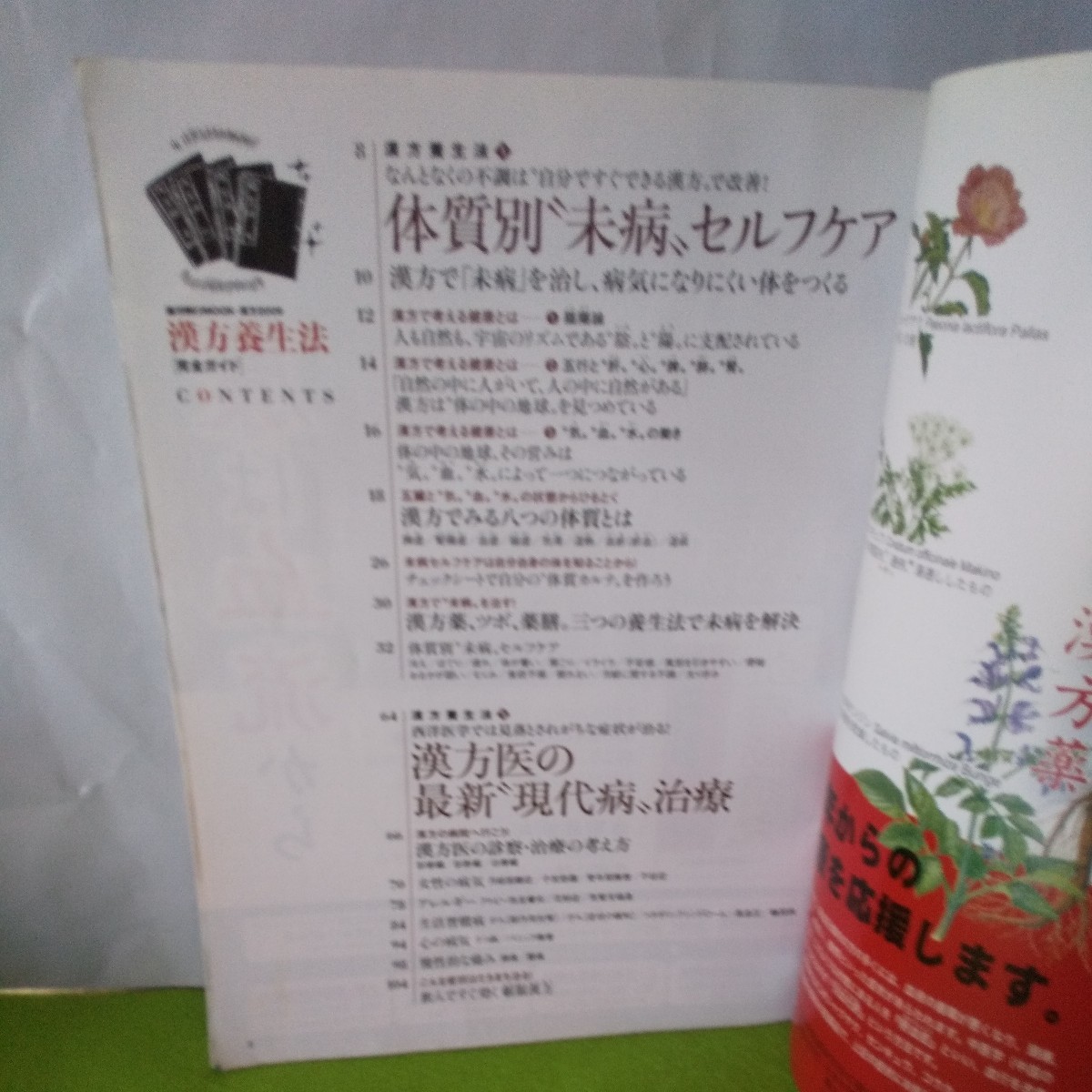 a-045 漢方養生法 完全ガイド 漢方医の最新現代病治療 他 2009年3月15日発行※3_画像2