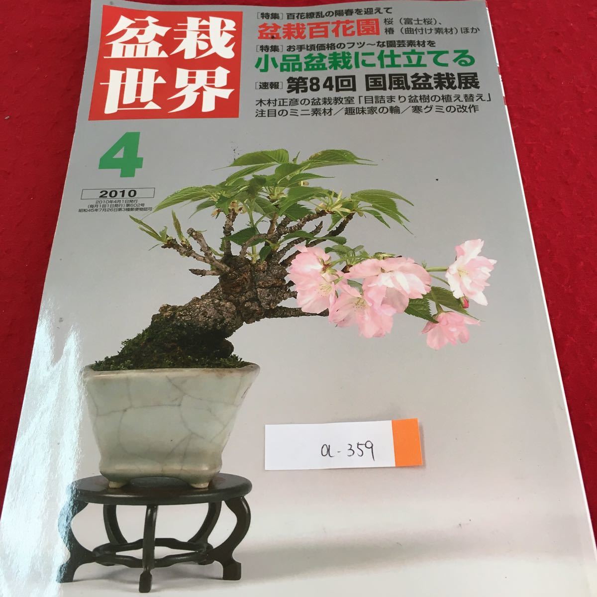 a-359 bonsai world 4 bonsai 100 flower . shohin bonsai . tailoring . no. 84 times country manner . bonsai exhibition attention. Mini material 2010 year 4 month 1 day issue *3