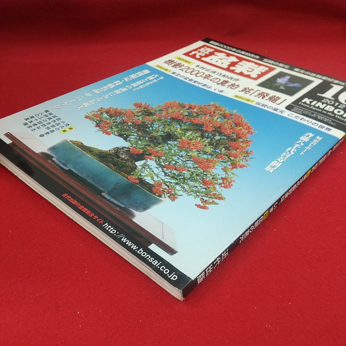 b-608※3 盆栽総合誌 月刊 近代盆栽 2012年10月号 平成24年10月1日発行 近代出版 木村正彦・銘「飛龍」改作 東北の愛好家は今 伝統の窯元_画像3