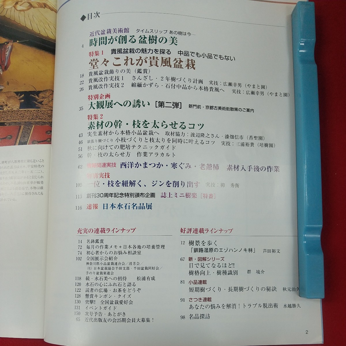 b-610※3 盆栽総合誌 月刊 近代盆栽 2008年9月号 平成20年9月1日発行 近代出版 これが貴風盆栽 素材の幹・枝を太らせるコツ 一位改作_画像5