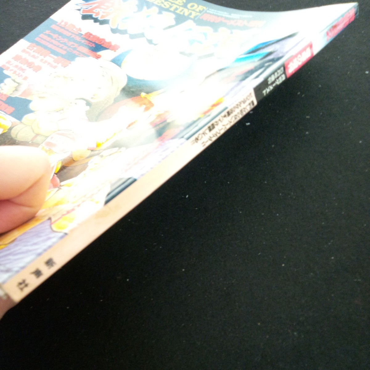 c-256 餓狼伝説2 宿命の増刊!! 月刊ゲーメスト増刊 ポスター付き c-256 餓狼伝説2 宿命の増刊!! 月刊ゲーメスト増刊 ポスター付き