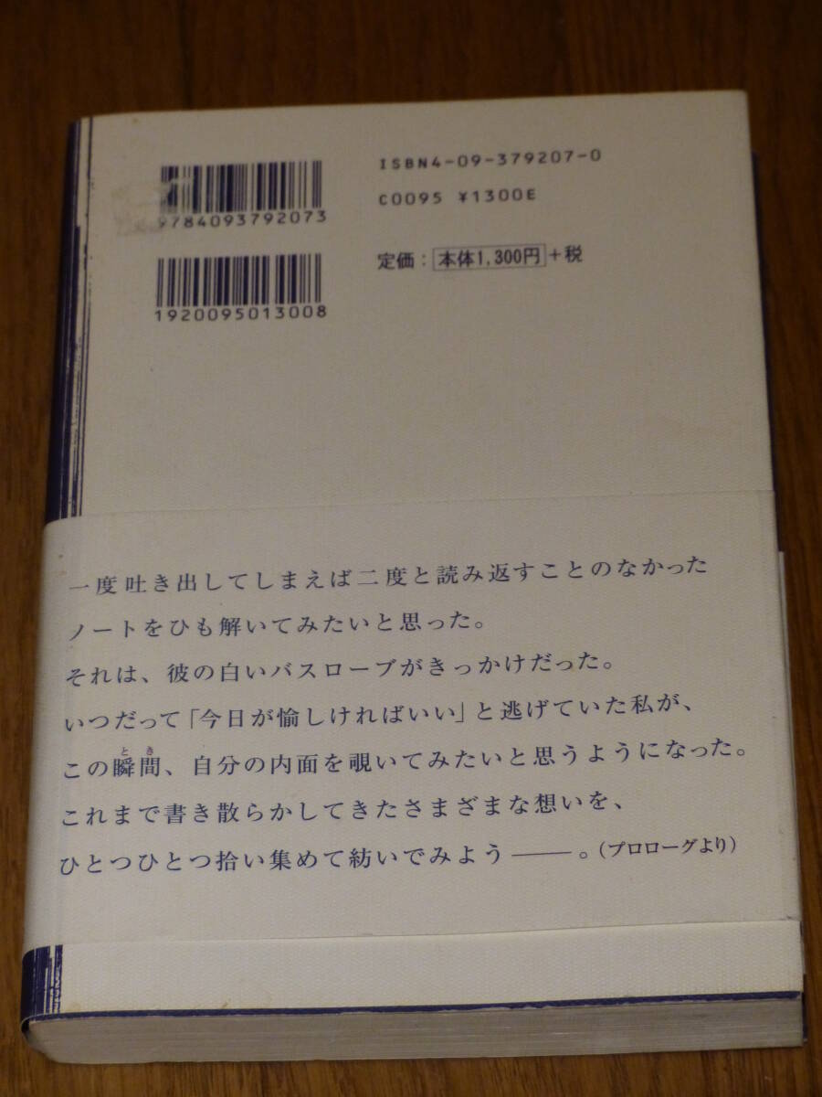 小学館『 プラトニック・セックス 』 飯島 愛 / PLATONIC SEX 送料１８５円!! USED!! _画像2