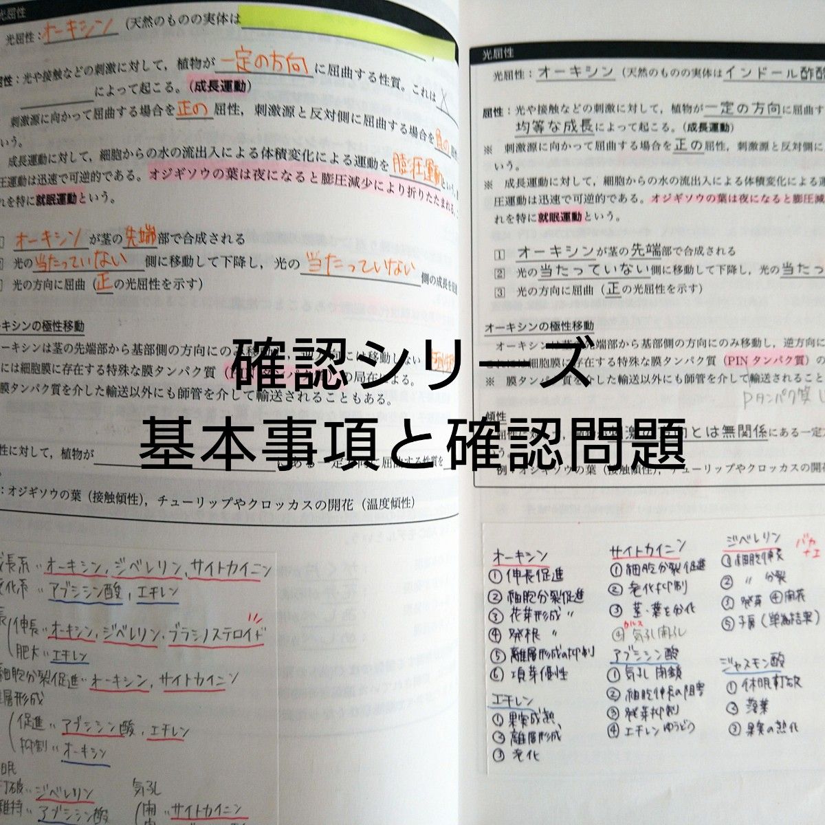 鉄緑会 生物 確認シリーズ ・Review Book 難関大 東大京大 駿台 鉄緑会 生物 確認シリーズ ・Review Book 難関大 東大京大 駿台