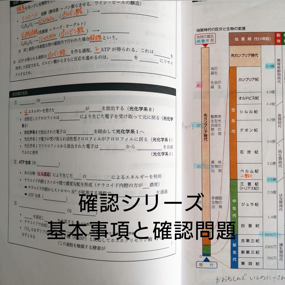鉄緑会 生物 確認シリーズ ・Review Book 難関大 東大京大 駿台 鉄緑会 生物 確認シリーズ ・Review Book 難関大 東大京大 駿台