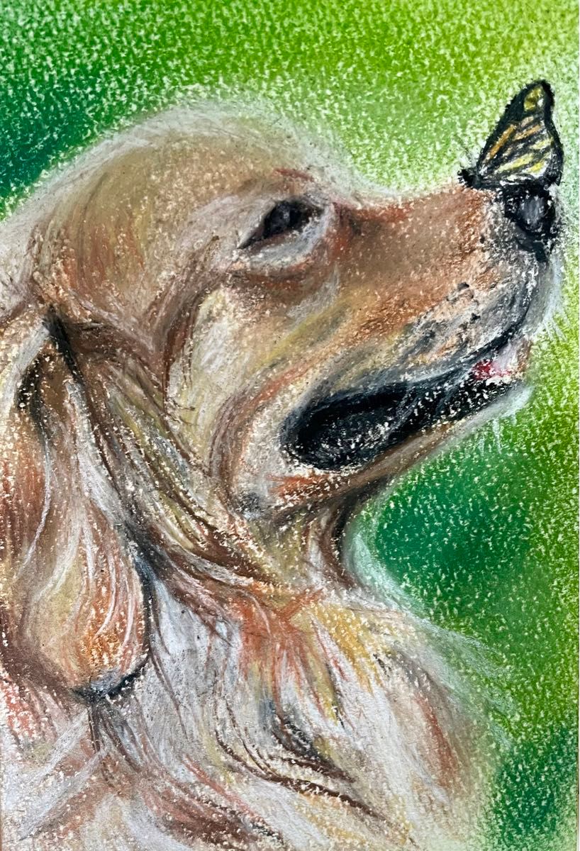 パステル画　ハガキサイズ　ポストカード　ゴールデンレトリバー　わんこ　犬の似顔絵 原画