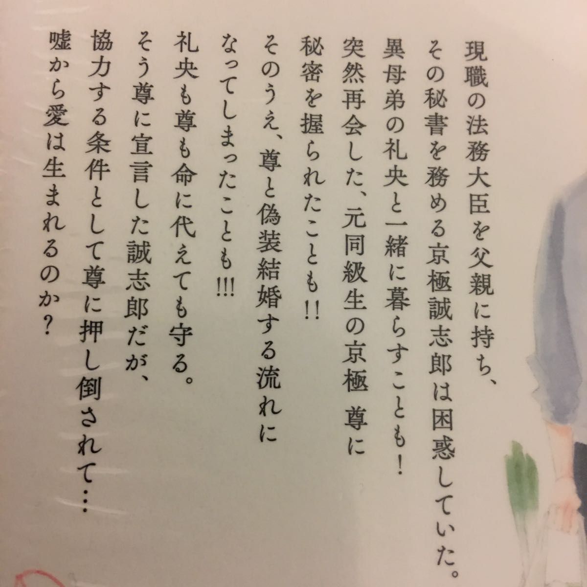 新品『京極家の純愛』『京極家の蜜月』『京極家の初夜』『京極家の結婚』 木下けい子　ボーイズラブ　CRAFT 大洋図書 未開封　