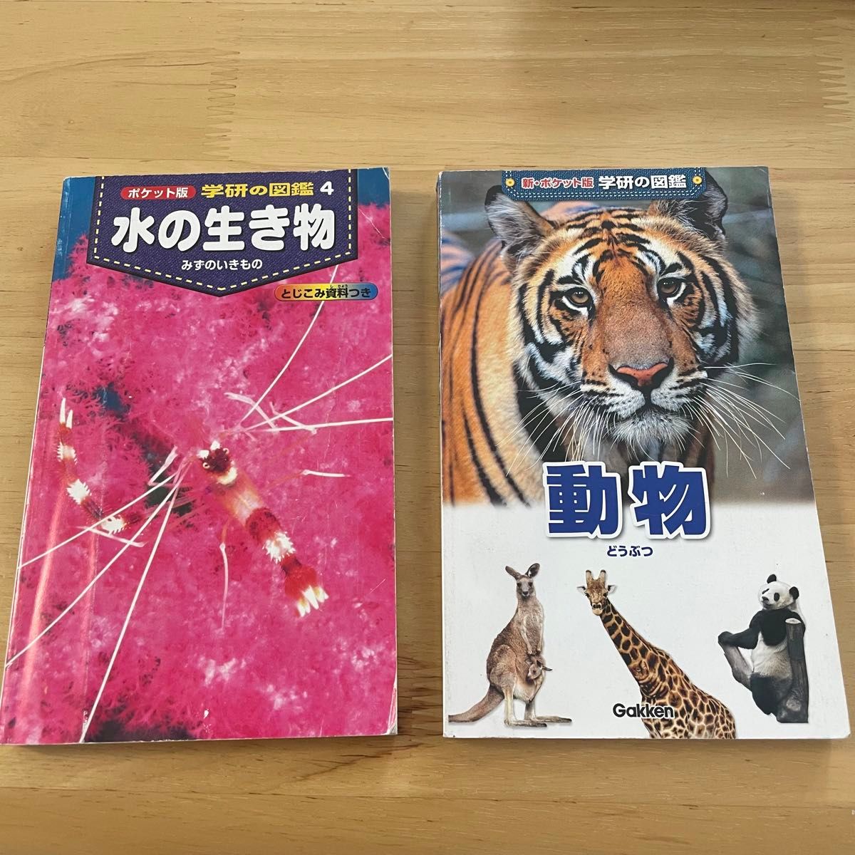 2冊セット】図鑑 水の生き物 動物 学研 ポケット版|Yahoo 2冊セット】図鑑 水の生き物 動物 学研 ポケット版|Yahoo