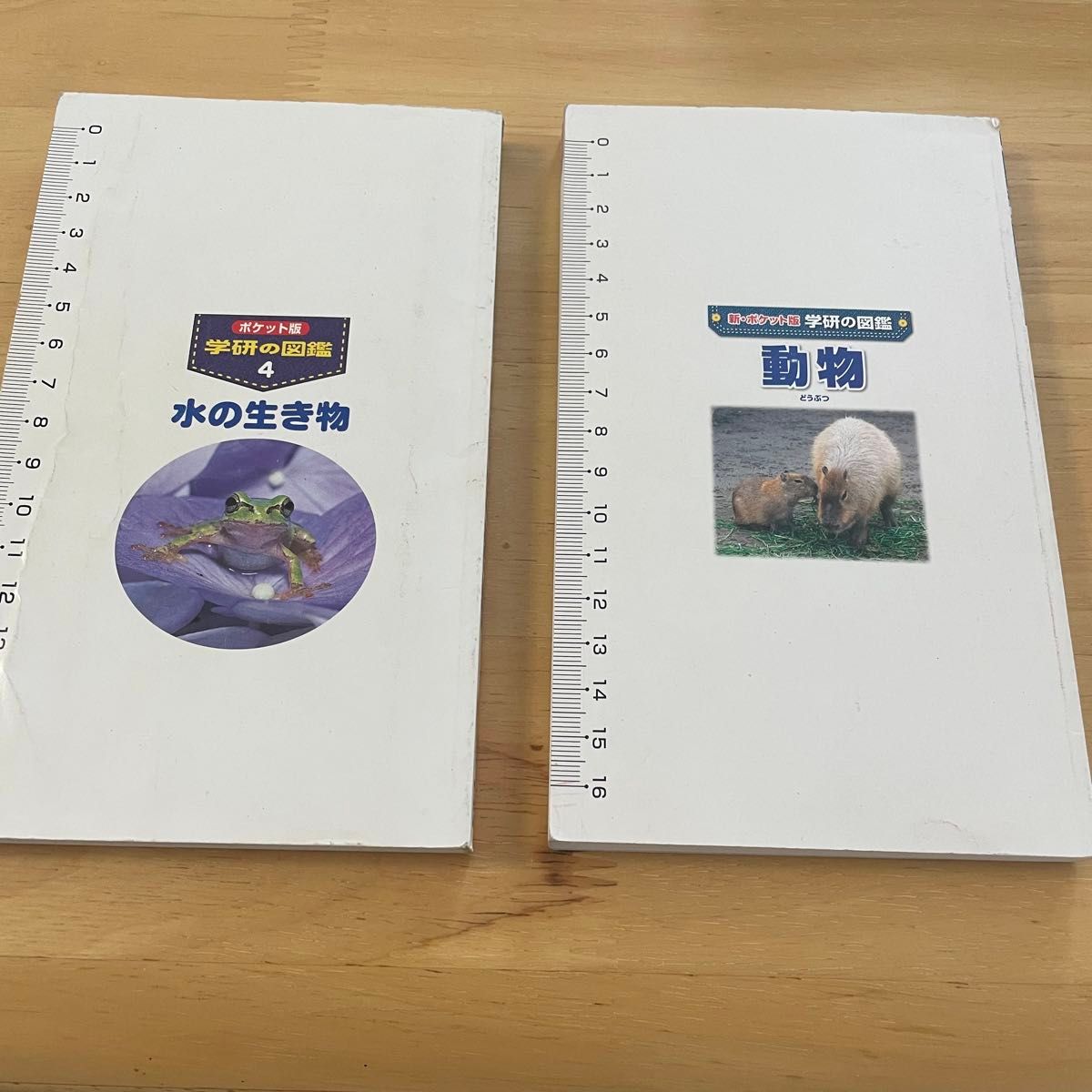 2冊セット】図鑑 水の生き物 動物 学研 ポケット版|Yahoo 2冊セット】図鑑 水の生き物 動物 学研 ポケット版|Yahoo