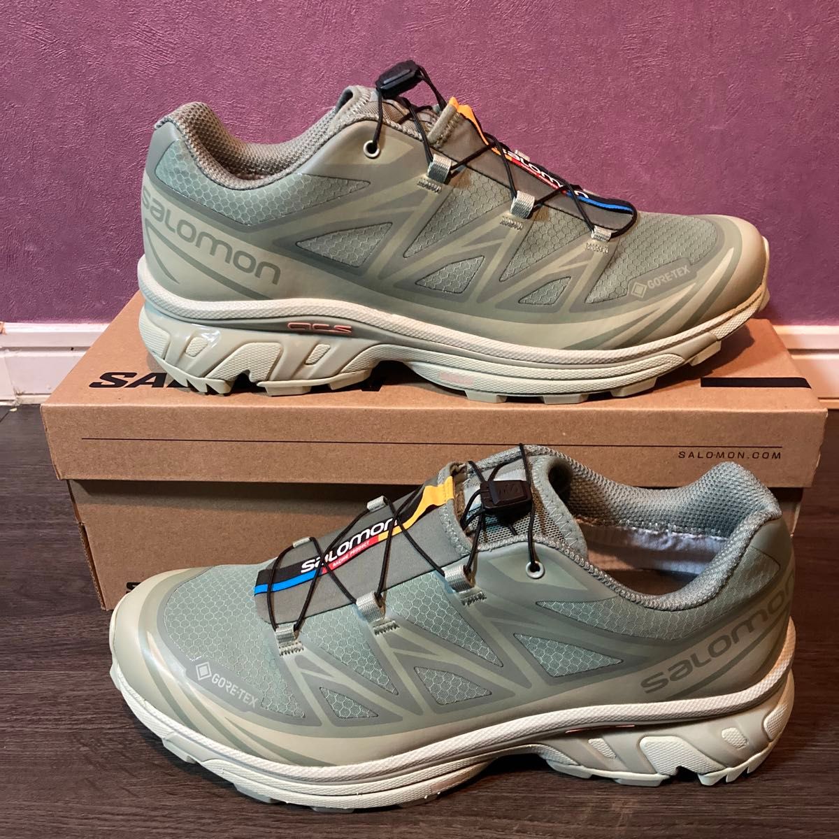 SALOMON XT-6 GTX GORE-TEX "Laurel Wreath" 28