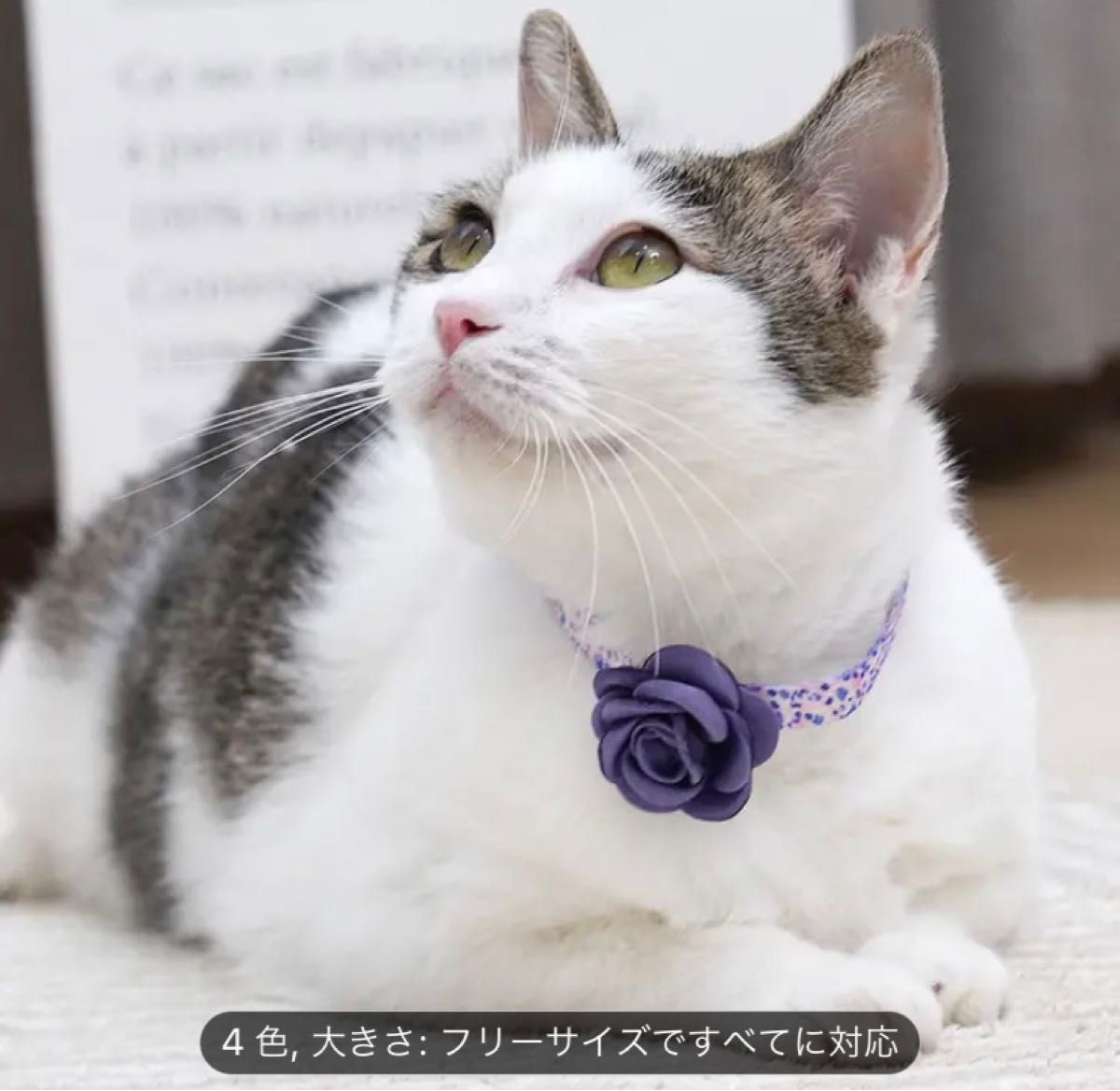 猫首輪　バラ