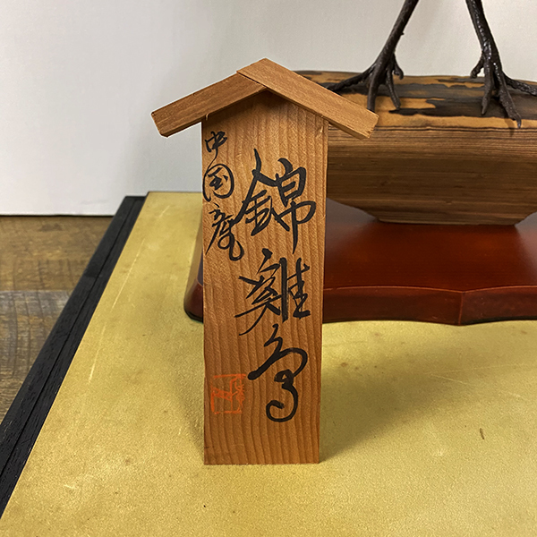 希少 美品 錦鶏鳥 キンケイ ケース 入り 剥製 置物 雄 オス 尾長 希少 美品 錦鶏鳥 キンケイ ケース 入り 剥製 置物 雄 オス 尾長