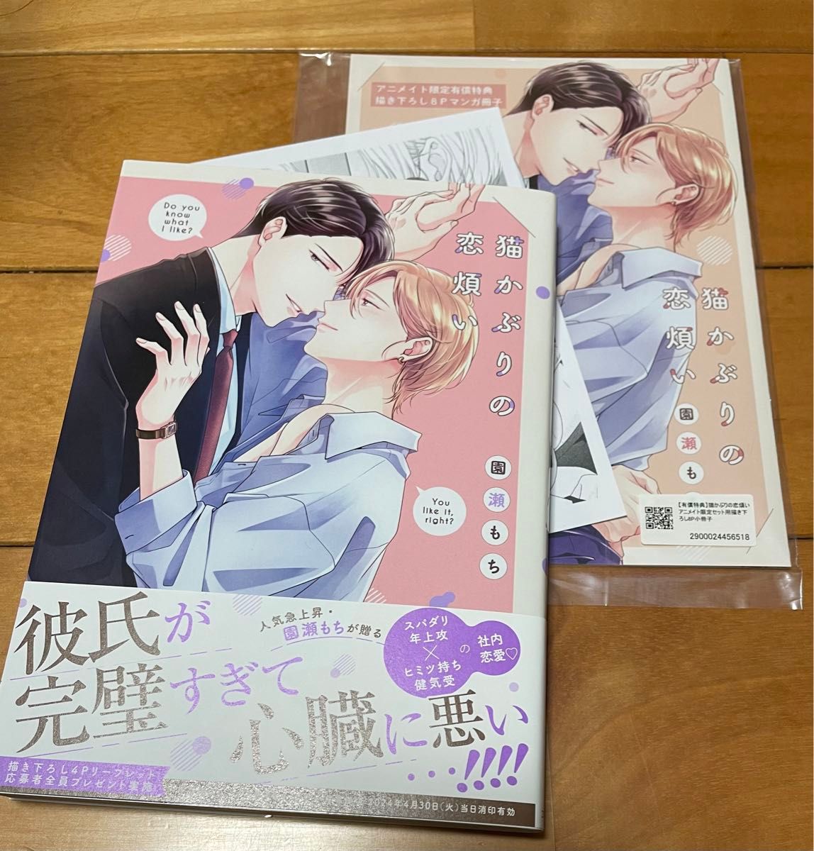 猫かぶりの恋煩い アニメイト限定小冊子付 ペーパー付 園瀬もち