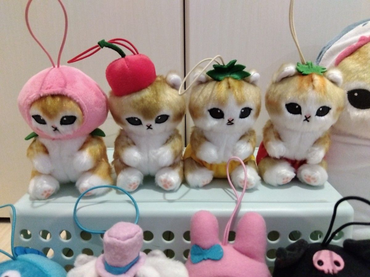 モフサンド mofusand まとめ売り おくるみにゃん BIGぬいぐるみ モフサンド mofusand まとめ売り おくるみにゃん BIGぬいぐるみ