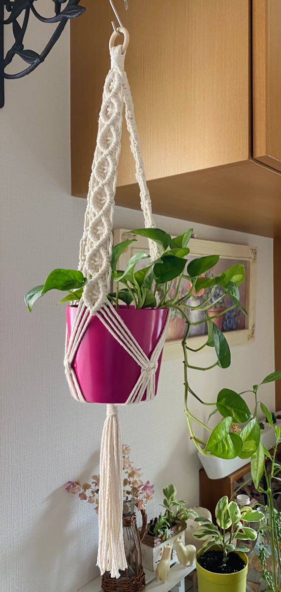 mak lame plan to hanger van King decorative plant mak lame plan to hanger hand made 22